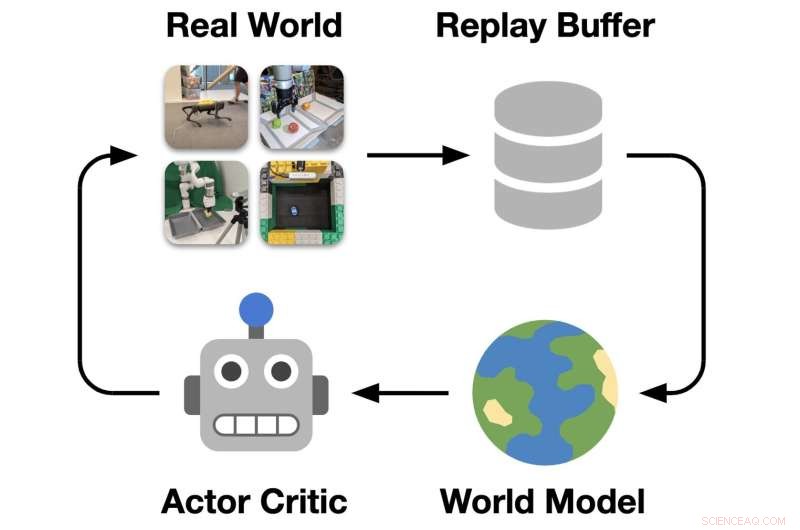 DayDreamer: Accelerated Real‑World Robot Learning for New Behaviors