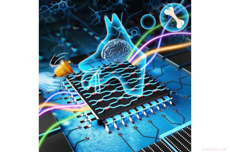 Oxford Scientists Create 1,000x Faster Light‑Based AI Processor for Rapid Data Analysis