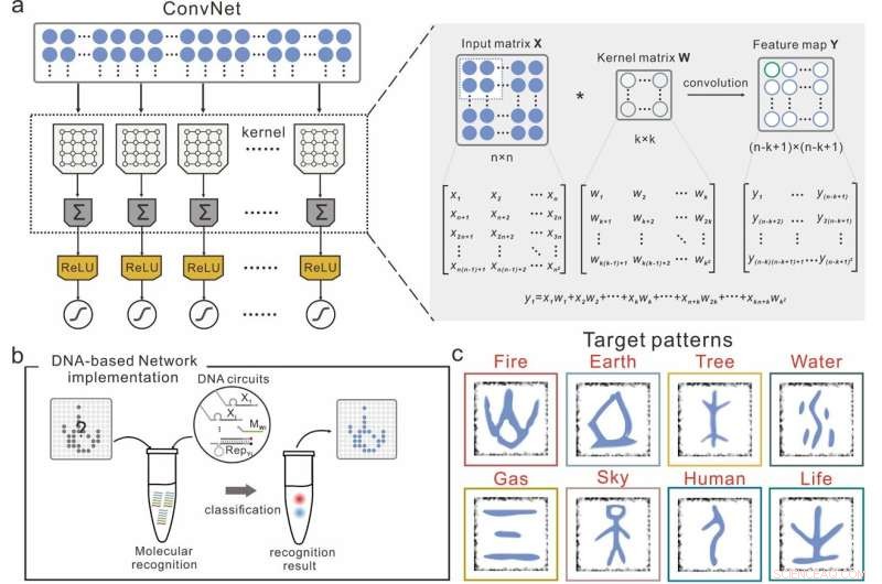 DNA‑Driven Molecular Neural Network: A Novel Artificial Neural Architecture
