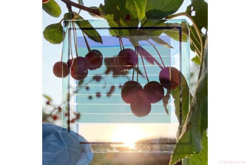 University of Michigan Advances Transparent Solar Cells to Window Scale