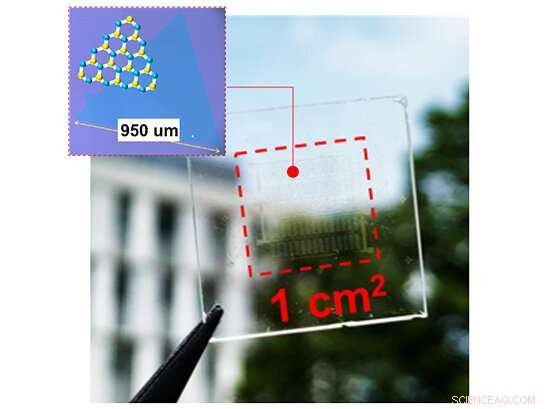 New Transparent Solar Cell Using 2D Atomic Sheet Reaches 79% Visibility