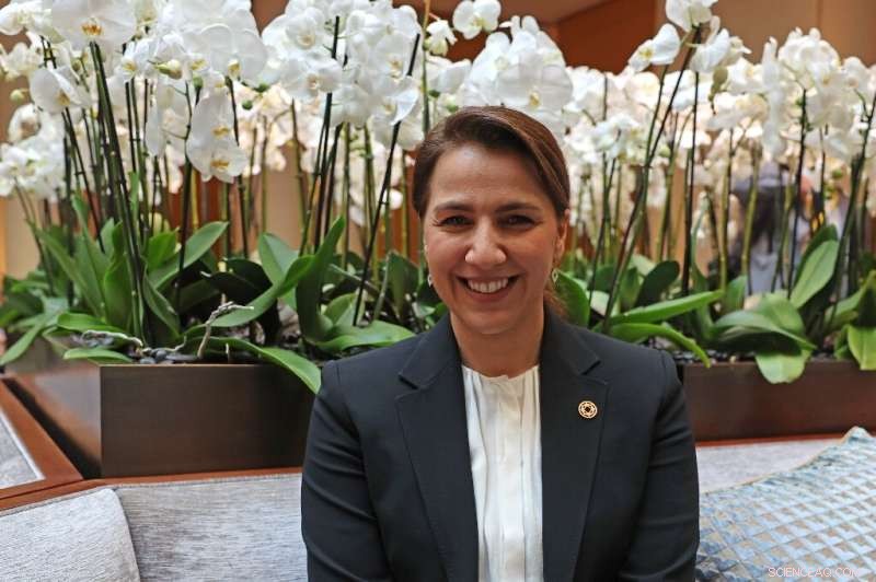 UAE Urges Equitable Energy Transition Funded by Oil Revenues