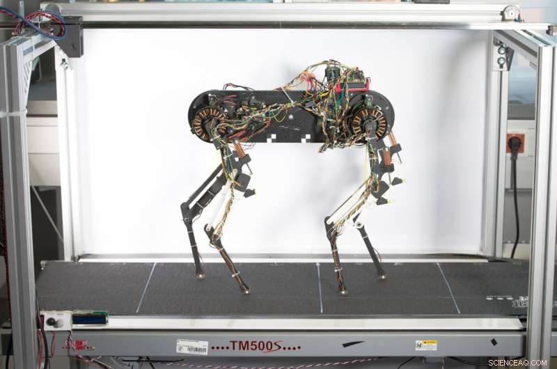 One‑Hour Training Enables Robot Dog to Walk Autonomously