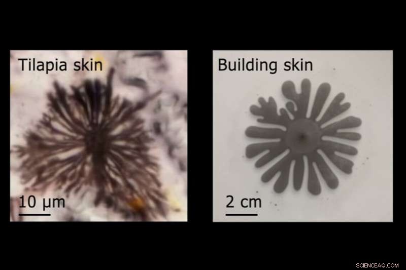 Bio-Inspired Facade Technology Cuts Building Energy Costs