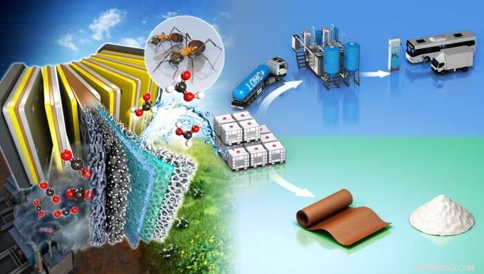High‑Yield CO₂‑to‑Formate Conversion Using Fluorine‑Doped Tin Oxide Catalyst