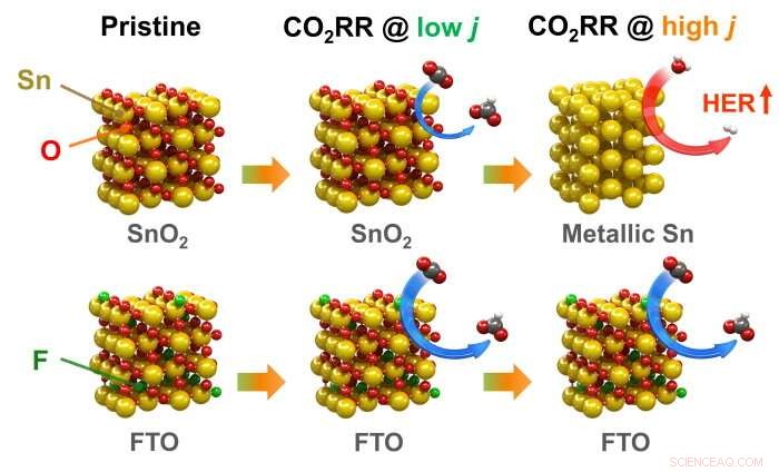 High‑Yield CO₂‑to‑Formate Conversion Using Fluorine‑Doped Tin Oxide Catalyst