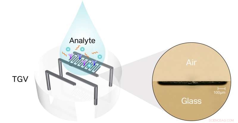 Glass-Embedded Metal Microstructures: A Breakthrough for High-Precision Biosensing