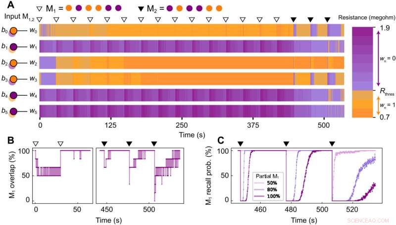 Embedding AI with Palimpsest Memory: A Novel Memristive Synapse Approach