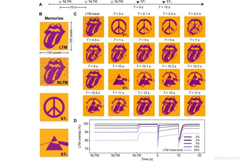 Embedding AI with Palimpsest Memory: A Novel Memristive Synapse Approach