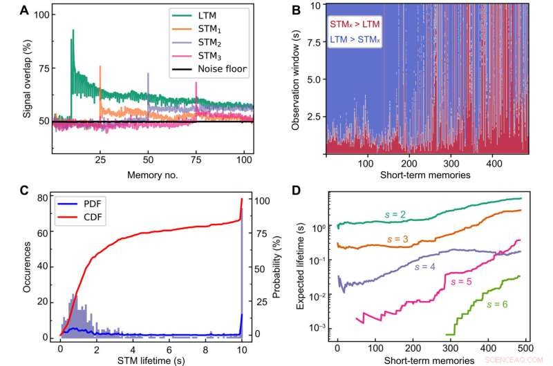Embedding AI with Palimpsest Memory: A Novel Memristive Synapse Approach
