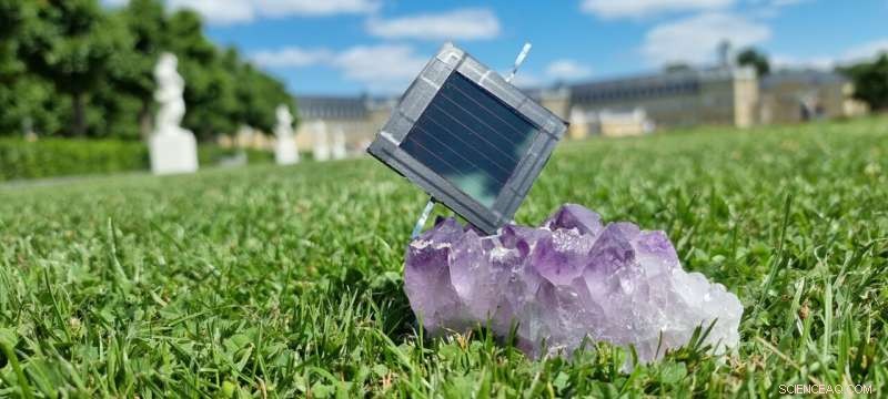 Scalable All-Perovskite Tandem Solar Modules Reach 19.1% Efficiency