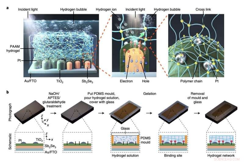 Stabilizing Solar Water‑Splitting Photoelectrodes with Transparent Hydrogels