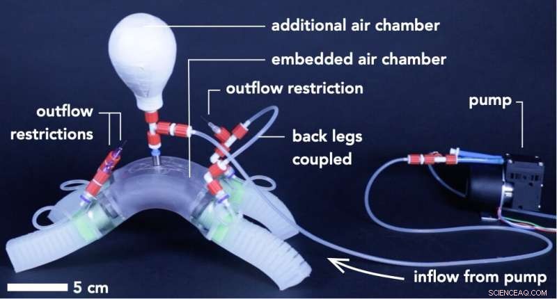 Responsive Soft Robots Mimic Ketchup Bottle Flow for Natural Movement
