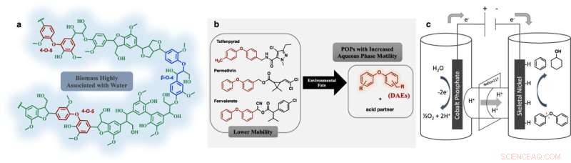 Researchers Develop Eco-Friendly Method to Break Down Plant Biomass for Renewable Energy