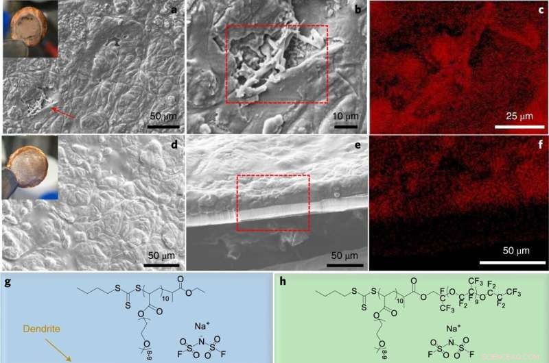 Block Copolymer Electrolytes Enable Stable Sodium Metal Batteries
