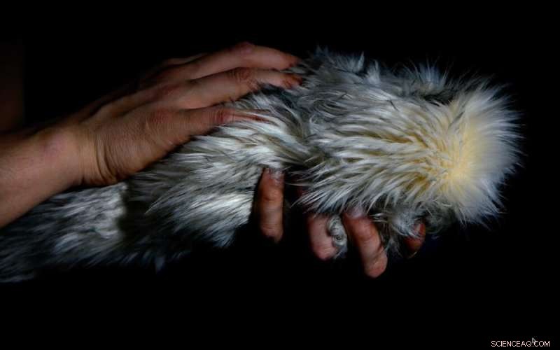 How Therapists Informed the Design of Healing Robots