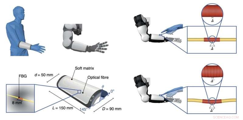 Bio‑Inspired Artificial Skin Mimics Ruffini Receptors for Enhanced Robotic Tactile Perception