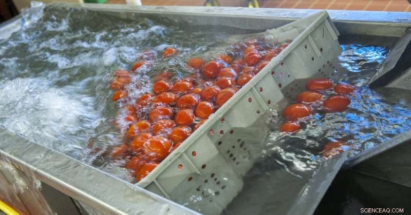 From Discovery to Impact: Bridging Science and Societal Benefit