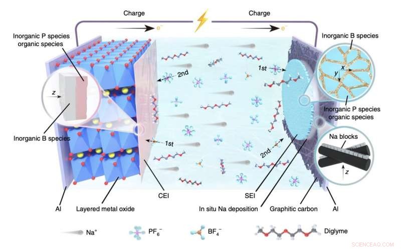 Breakthrough Anode-Free Sodium Batteries Achieve High Energy Density and Long Cycle Life