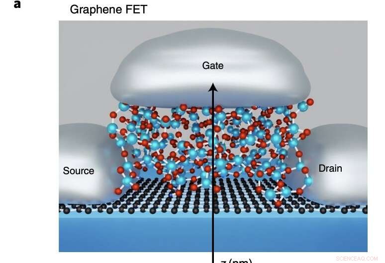 Fermi-Level Tuning: Enhancing Stability in 2D Graphene Field-Effect Transistors