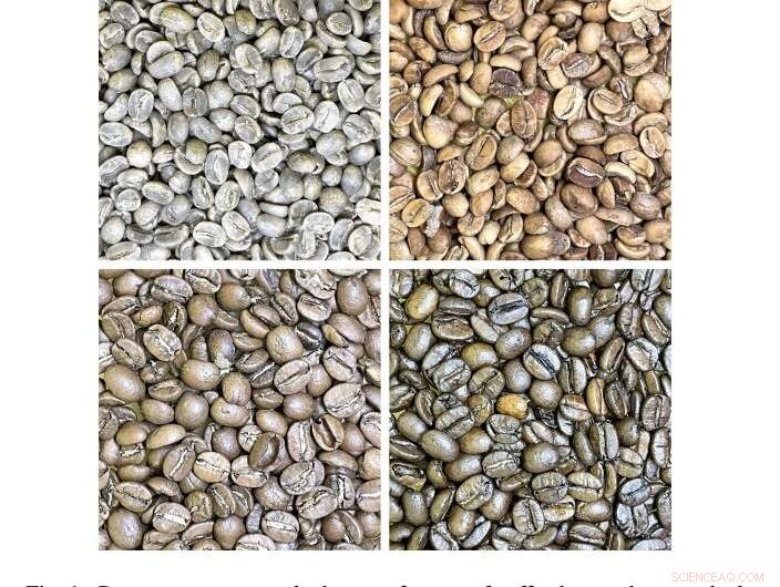 Android App for Precise Coffee Bean Roast Evaluation