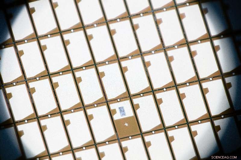 GlobalWafers Unveils $5 Billion Silicon Wafer Plant in Texas