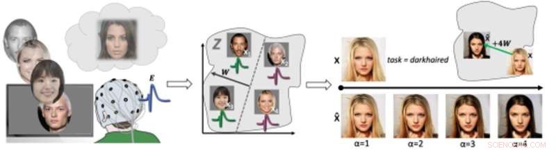 Thought-Controlled Image Editing: Breakthrough Software Uses Brain Signals from University Research