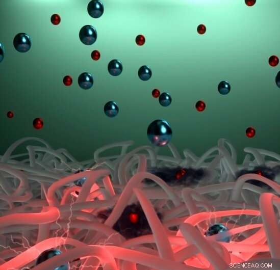 High-Mobility Conductive Polymer Breakthrough for Next-Gen Organic Electronics