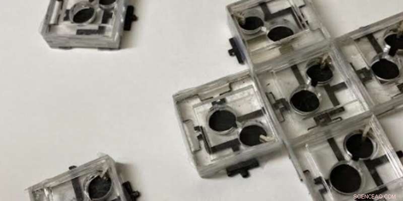 Innovative Biobatteries Utilize Bacteria for Weeks-Long Sustainable Power