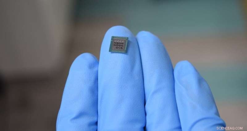 Breath Biometrics: Advanced Identity Verification with Olfactory Sensors