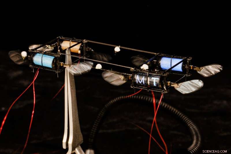 MIT s Robotic Fireflies: Soft Actuators with Multi-Color Light Emission