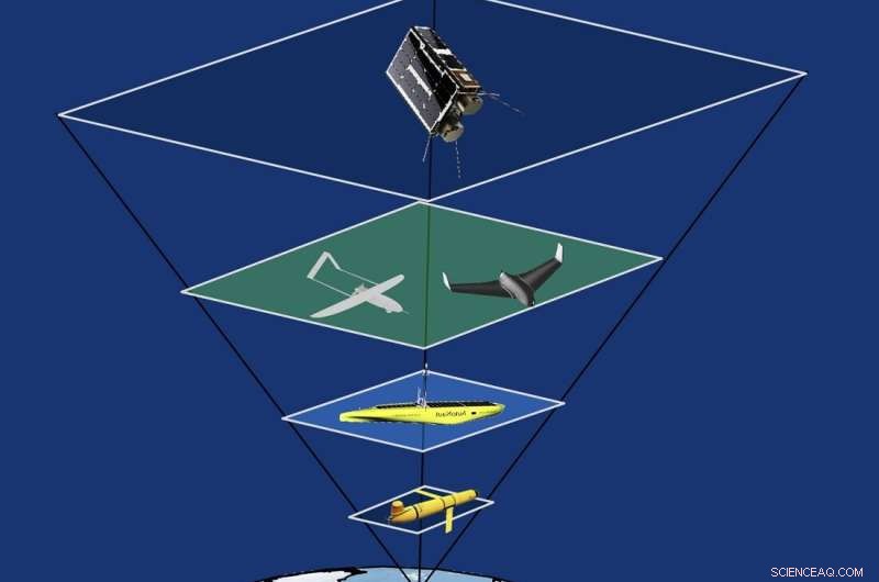 NTNU s Observational Pyramid: Simultaneous Monitoring of Arctic Marine Life from Seabed to Space