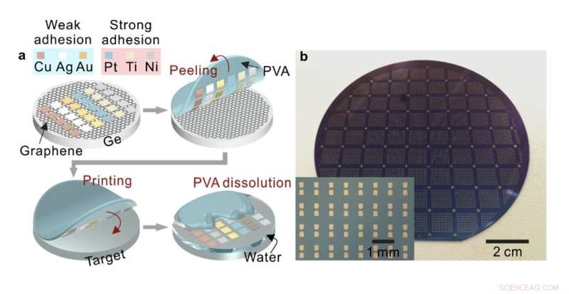 Graphene-Assisted Transfer Printing for Scalable Metal Electrode and 2D Material Integration on Wafer-Scale