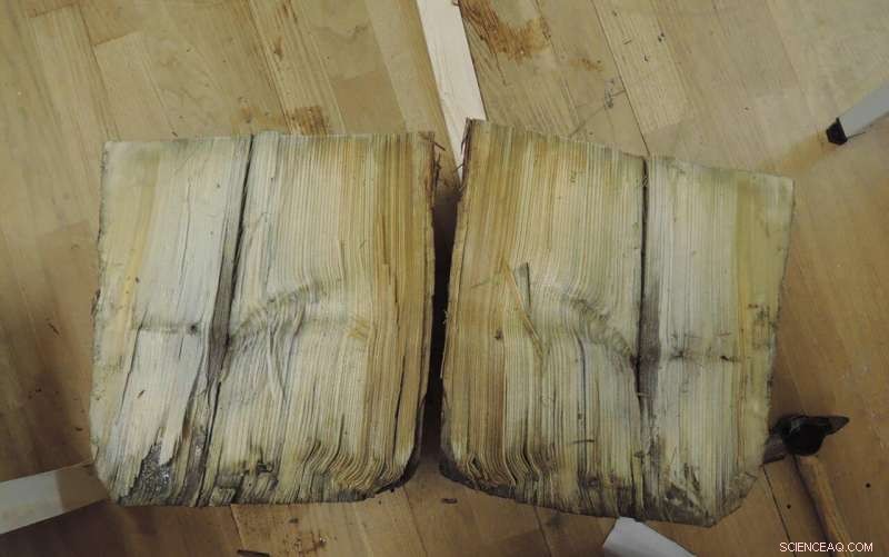 New Study: Minor Groundwater Decline Threatens Wooden Pile Foundation Integrity