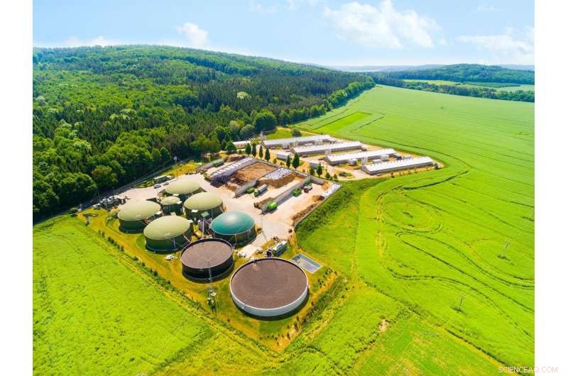 Waste-to-Energy Innovations: Biomass and Biogas for Sustainable Power