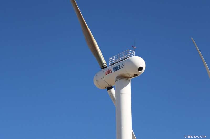 CU Boulder and NREL Develop Hurricane-Resilient Wind Turbines Inspired by Palm Trees