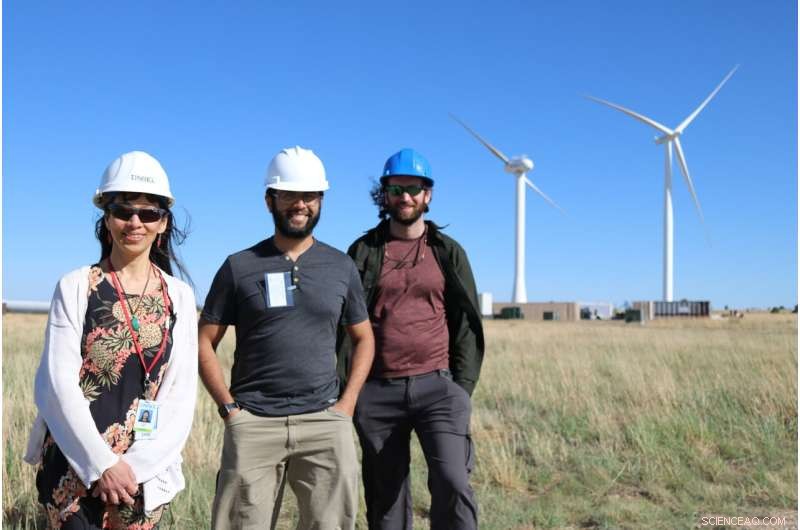 CU Boulder and NREL Develop Hurricane-Resilient Wind Turbines Inspired by Palm Trees