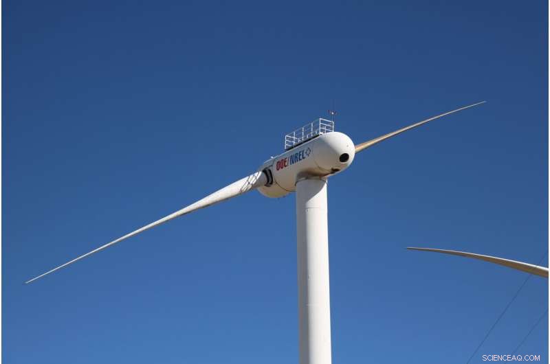 CU Boulder and NREL Develop Hurricane-Resilient Wind Turbines Inspired by Palm Trees