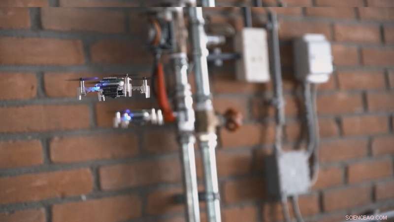 Revolutionary Insect-Inspired AI Enhances Autonomous Robot Navigation