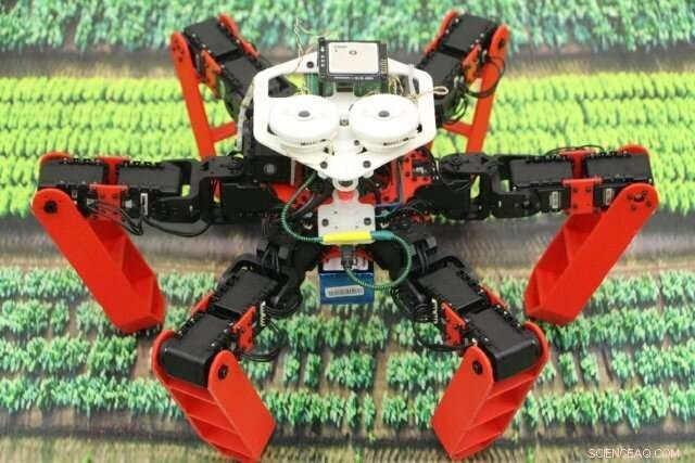 Revolutionary Insect-Inspired AI Enhances Autonomous Robot Navigation