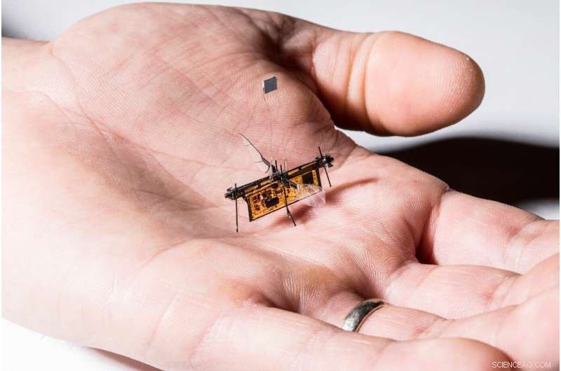 Revolutionary Insect-Inspired AI Enhances Autonomous Robot Navigation