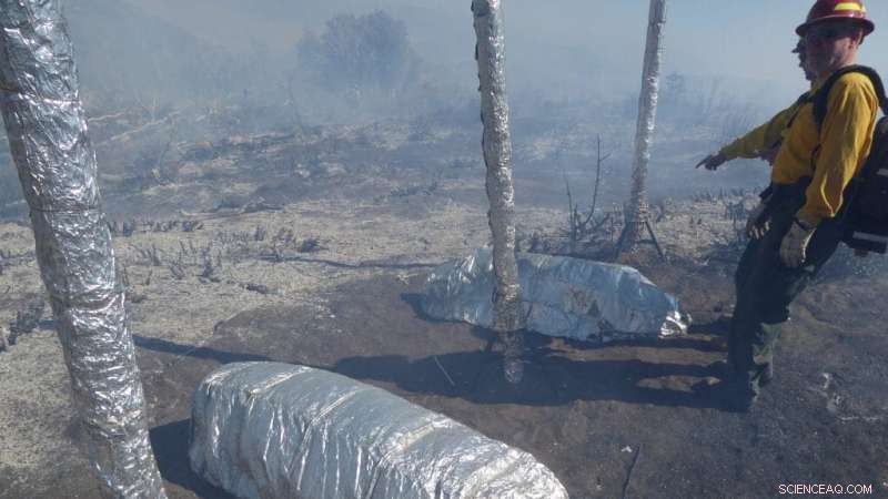 Innovative Fire Shelter Prototypes Boost Survival Time for Wildfire Firefighters