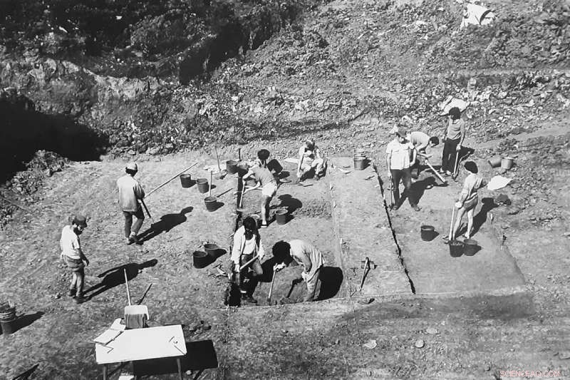 AI Analysis Uncovers Hidden Fire Evidence in Early Human Artifacts from Israel