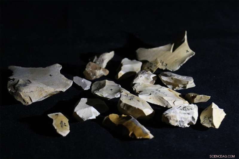 AI Analysis Uncovers Hidden Fire Evidence in Early Human Artifacts from Israel