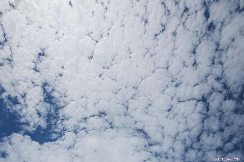 Nuclear Energy s Economic Imperative: Why Carbon Pricing Drives Competitiveness