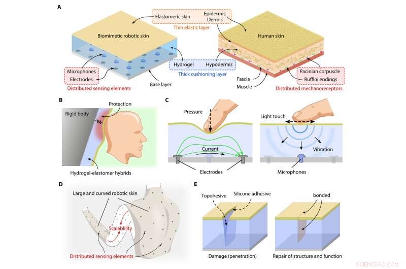 Revolutionary Biomimetic Elastomeric Robot Skin with Advanced Tactile Sensing