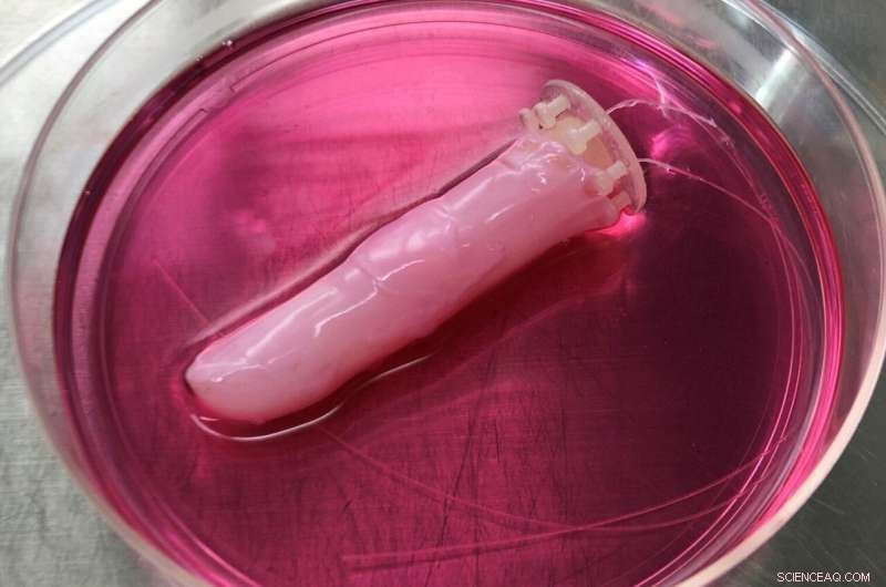 Breakthrough: Scientists Develop Self-Healing Human Skin for Biohybrid Robots