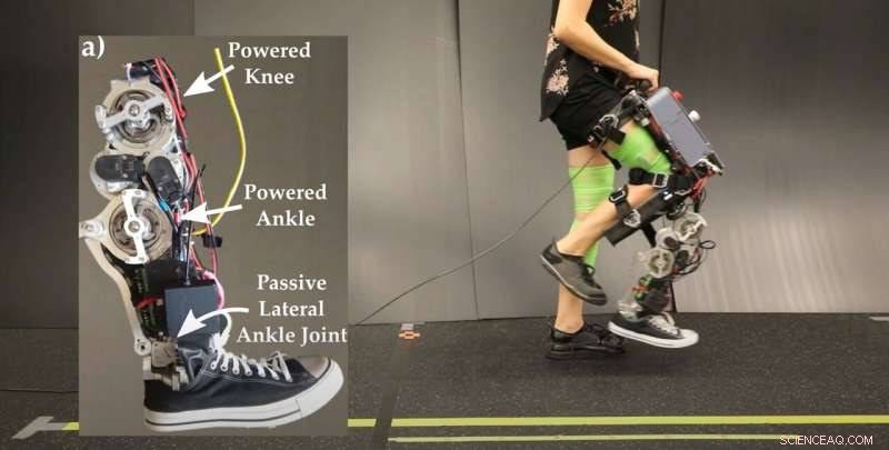 Natural Walking Assistance: Integrating Hybrid Zero Dynamics with Musculoskeletal Models