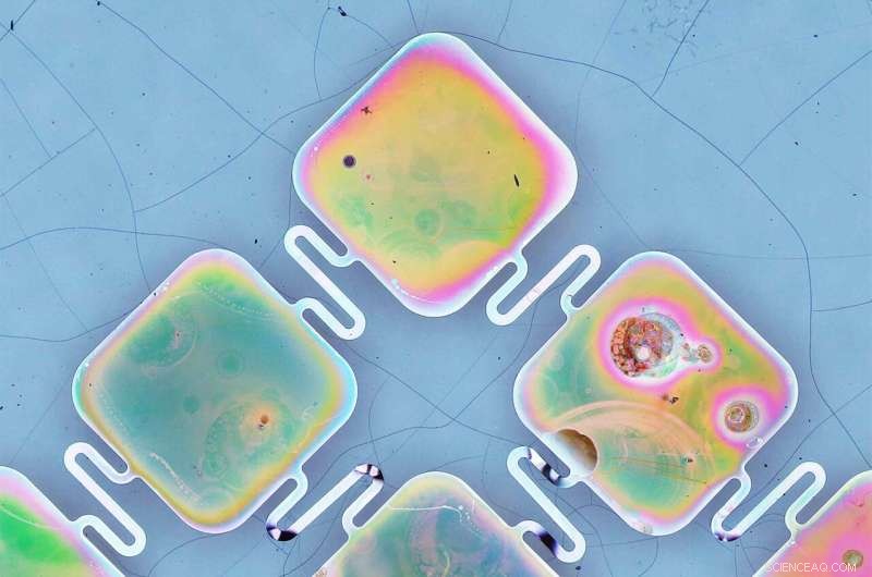 Sponge‑Like Solar Cells Offer Breakthrough for Next‑Gen Pacemakers