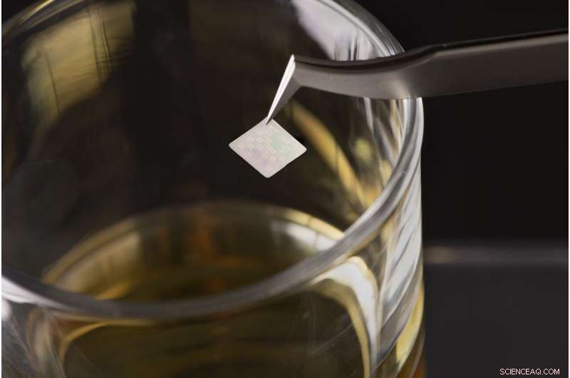 Edible QR Code Helps Authenticate Whiskey and Combat Counterfeits